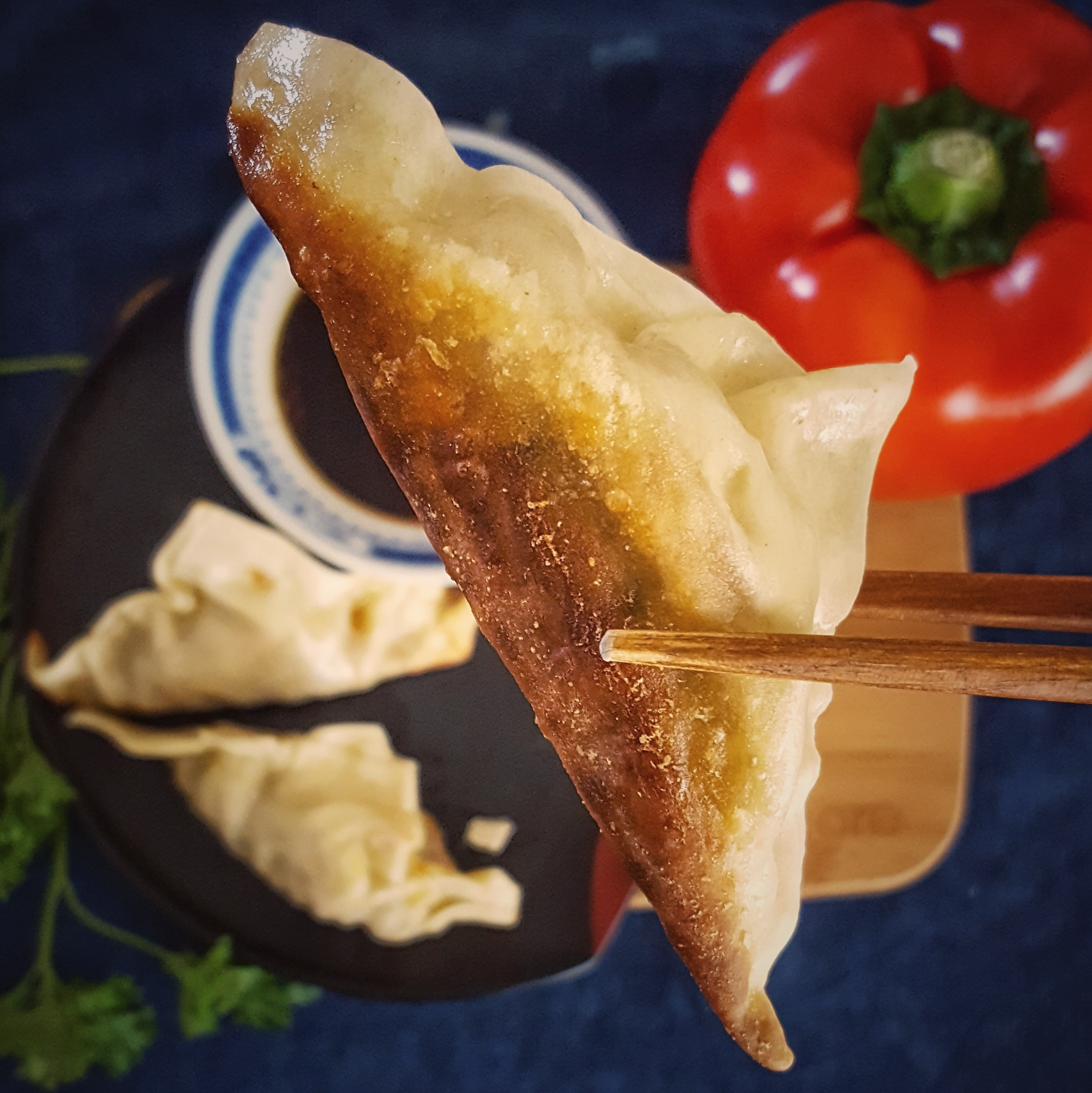 Pork Pot Stickers | Simply Sophisticated Cooking
