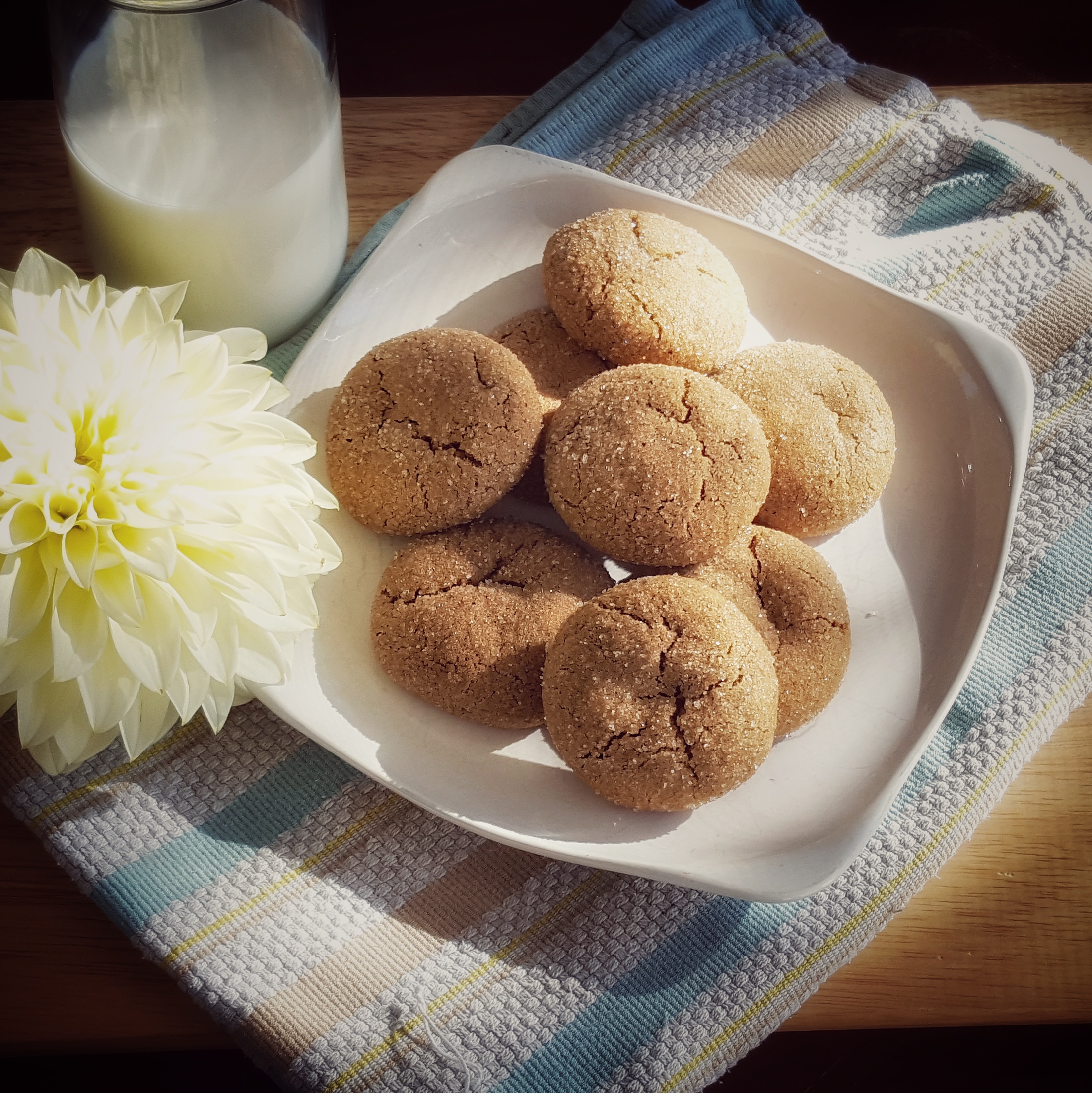 Brown Butter Cinnamon Sugar Cookies Celebration