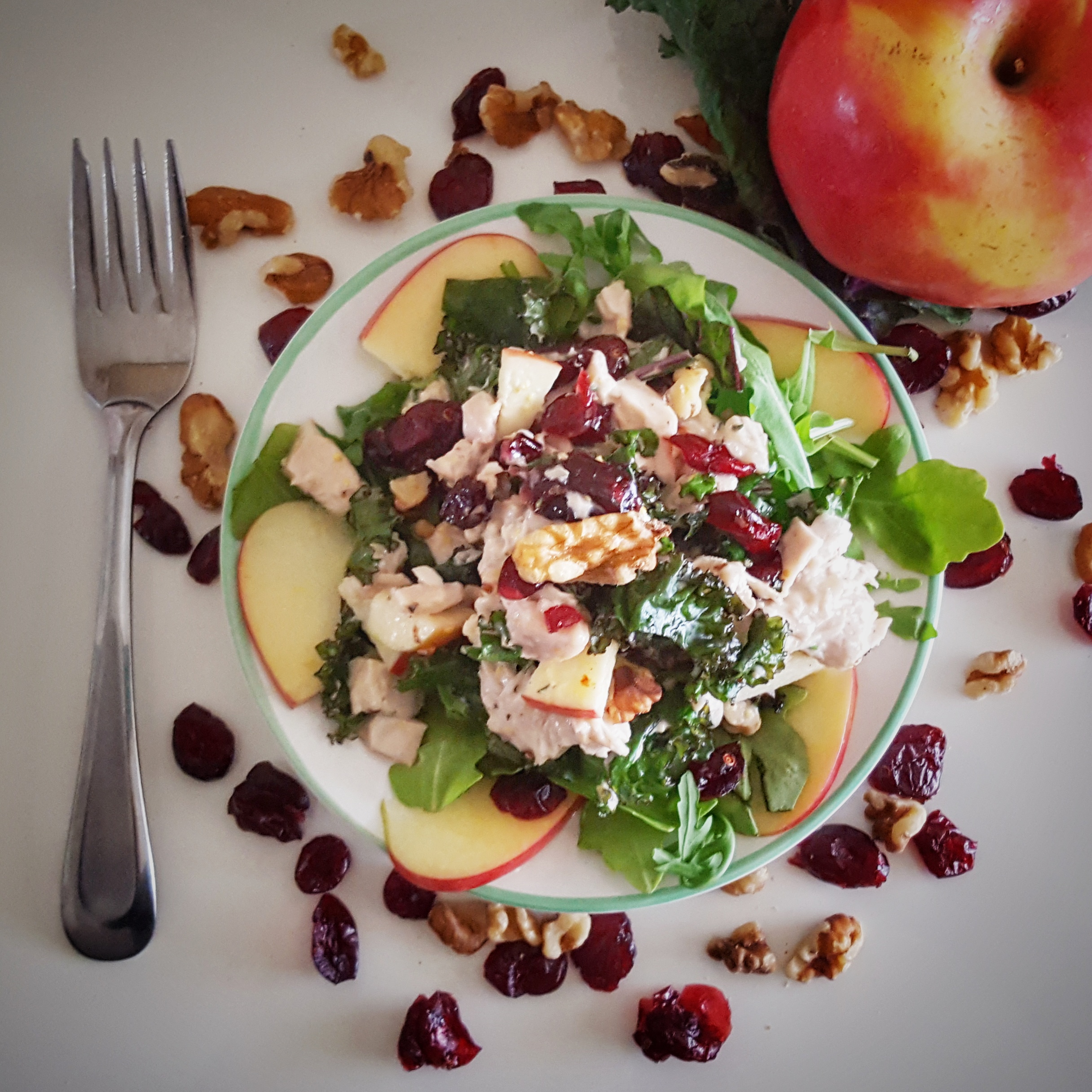 Fall Turkey Salad with Cranberries, Apple, Kale and Walnuts