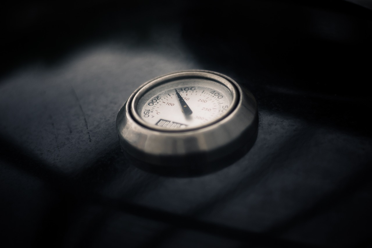 kitchen gadgets: meat thermometer