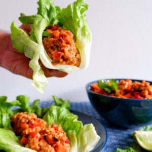 Asian Turkey Lettuce Wraps